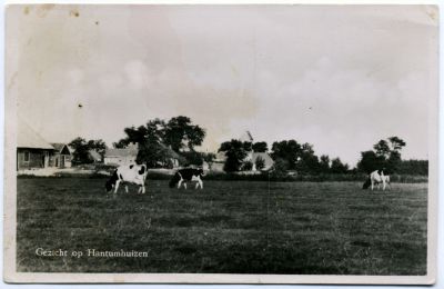 A   Gezicht op Hantumhuizen