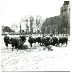 Jan van der Meer   20rechtsonder