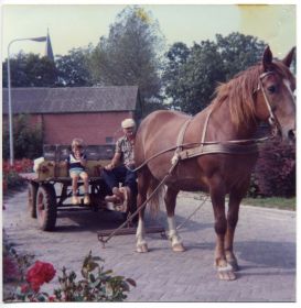 Jan van der Meer   33 2