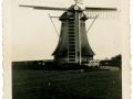 Untitled 01watermolen