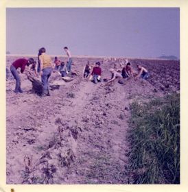 11   DTL ers sykje jierpels om de kas te spekjen