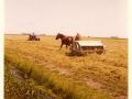 12   De blau skodder waard noch br  kt yn 1974