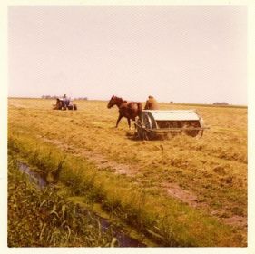 12   De blau skodder waard noch br  kt yn 1974
