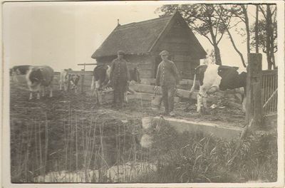 15   Albert en Tseard Steenstra