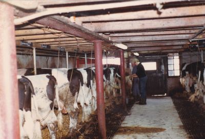 IMG 20200509 0001  31 