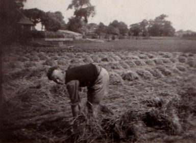 IMG 20200509 0001  4 