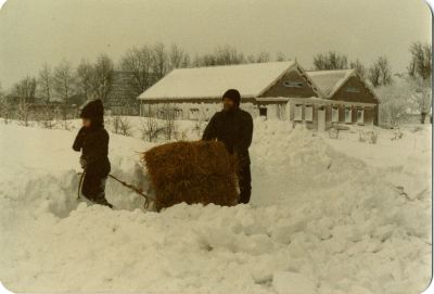 Untitled 02pakjestro