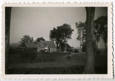 Untitled 17 aa