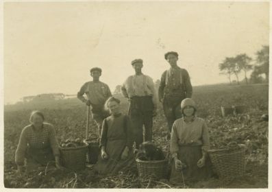 Untitled 04linksboven