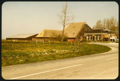 006   Pleats yn 1982