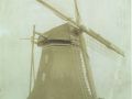  a  Moune omstreeks 1900 hinne