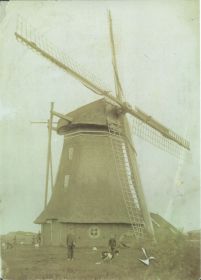  a  Moune omstreeks 1900 hinne