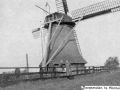  d  mei ien kleppenroede