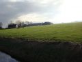 DSC02381