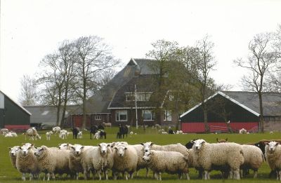 Scan Kingma Hantumeruitburen