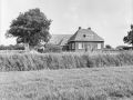 roderterp1982