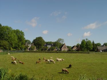 DSC02999
