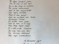 IMG 0370