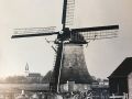 IMG 0371
