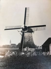 IMG 0371