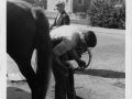 Smid Jan Sijens beslaat een paard   1973
