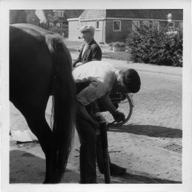 Smid Jan Sijens beslaat een paard   1973