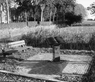 Het kunstwerk   uitsnede