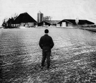 boerderij   D. Prins