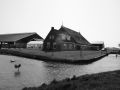 boerderij   Lawerman 01