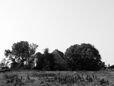 boerdrerij   Dijkstra