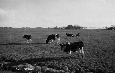 hantumzicht op molen