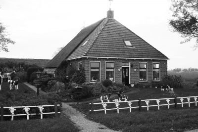 koeienmuseum 02