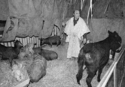 hantumhuizen   levende have kerststal