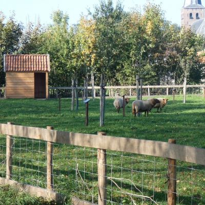 Het eetbare bos in Hantum