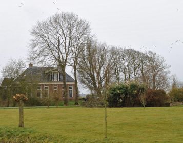 dsc 0670