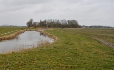 dsc 0699