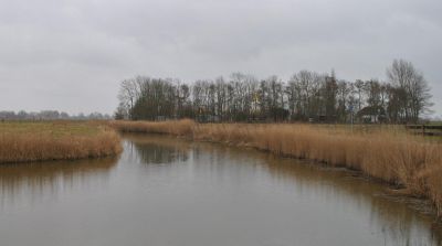 dsc 0721