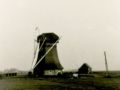 molen21970