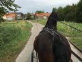 img 1692