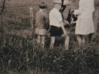 img 20210510 0004  3    kopie