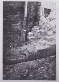 img 20210518 0002   kopie  4 