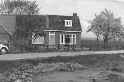de wilgen