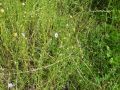 dsc04970