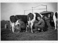 kees de vries en jan kingma