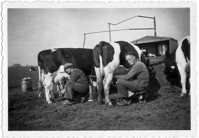 kees de vries en jan kingma