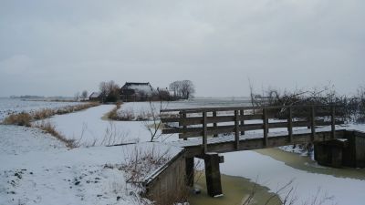 2021 02 10 13.01.42 1 