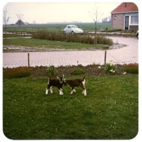 07   Hoek Hearewei   De Terpen