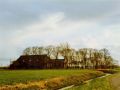 Heeringa