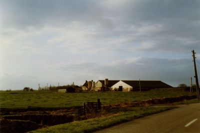Posthumus
