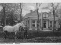 boerderij hannema hantum met paard